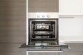 Detail of open kitchen oven Royalty Free Stock Photo