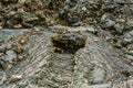 Detail of an open lava bubble in a lava field on La palma