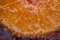 Detail of orange slice in sparkling water. Royalty Free Stock Photo