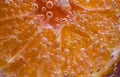 Detail of orange slice in sparkling water. Royalty Free Stock Photo