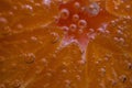 Detail of orange slice in sparkling water. Royalty Free Stock Photo