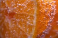 Detail of orange slice in sparkling water. Royalty Free Stock Photo