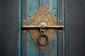 detail of ornate brass door handle