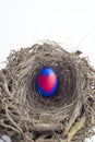 Detail of painted Easter egg with a red heart placed in a nest i Royalty Free Stock Photo