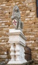 Detail Palazzo Vecchio or Palazzo della Signoria in Florence, Italy.