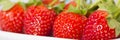 Detail of panaromic strawberry Royalty Free Stock Photo