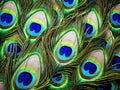 Ai Generated illustration Wildlife Concept of Detail of peacock feather eye Royalty Free Stock Photo