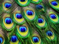 Ai Generated illustration Wildlife Concept of Detail of peacock feather eye Royalty Free Stock Photo