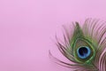 Detail of peacock feather eye on a pink background. Luxury Abstract Texture for Peafowl wallpaper, pink blue-green color. Indian Royalty Free Stock Photo