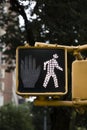Pedestrian traffic lights