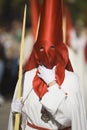 Detail penitent holding a palm during Holy Week