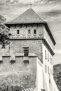 Detail photo of gothic castle Karlstejn, colorless Royalty Free Stock Photo