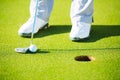 Detail Photograph of Man Putting Golf Ball into the Hole Royalty Free Stock Photo