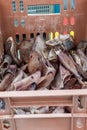 Detail of pig ears on stall at Farmer\'s Market in Kaiser-Josef-Platz