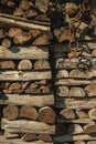 Detail of a pile of cut rustic wood Royalty Free Stock Photo