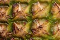 Detail of a pineapple peel