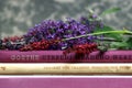 Romantic books and flowers summer Goethe reading stillife Royalty Free Stock Photo