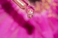 detail of pipette dropper with face serum with droplet on a fuchsia pink flower background