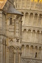 Detail pisa leaning tower Royalty Free Stock Photo