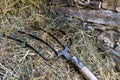 Detail of a pitchfork resting on a pile of hay in rustic stone b Royalty Free Stock Photo