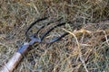 Detail of a pitchfork resting on a pile of hay in rustic wooden Royalty Free Stock Photo