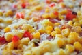 Detail of delicious pizza with corn Royalty Free Stock Photo