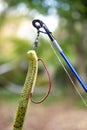 Detail of plastic worm and weedless hook rig Royalty Free Stock Photo