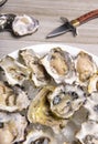 Fresh shucked oysters plate over wood background