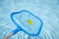 Detail of a Pool Skimmer Royalty Free Stock Photo