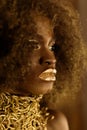 Detail portrait of an African American woman with golden makeup and accessories Royalty Free Stock Photo