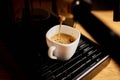 Detail of a professional coffe maker dripping coffe into an empty cup in a cafeteria