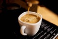 Detail of a professional coffe maker dripping coffe into an empty cup in a cafeteria