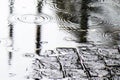 Detail of  rain drops in a puddle Royalty Free Stock Photo