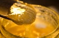 Detail of raw organic royal jelly