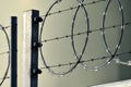 Detail of razorwire at industrial site Royalty Free Stock Photo