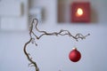 Detail of a red christmas ball at a branch in front of an unsharp white wall with shutter and shelf with candle light in a lamp Royalty Free Stock Photo