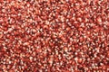 Detail of red corn kernels with artistic abstract pattern Royalty Free Stock Photo