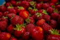 detail of red and fresh strawberies Royalty Free Stock Photo