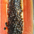 detail of red papaya seeds