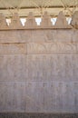 Detail of a relief of the eastern stairs in Persepolis, Iran. Royalty Free Stock Photo