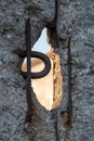 Close up of the crumbling remains of the Berlin Wall at the Wall Memorial, Germany. Segments of wall have been left as a reminder Royalty Free Stock Photo