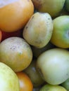 Detail from the ripening pile of tomatoes to the changing colors