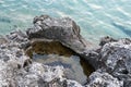 Detail of the rock of the cliff along the seashore.