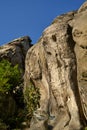 Detail of a rock of the standstone formation `Externsteine` Germany