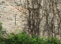 Rock wall of Pennsylvania barn with ventilation lighting shafts