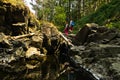 Detail of rocks in water at Black river gorge