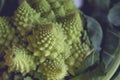 Detail of romanesco broccoli fractal shapes Royalty Free Stock Photo
