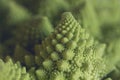 Detail of romanesco cauliflower geometrical shapes Royalty Free Stock Photo