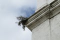 Detail of the roof of a colonial church with plants Royalty Free Stock Photo