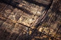 Detail rotten old spruce boards